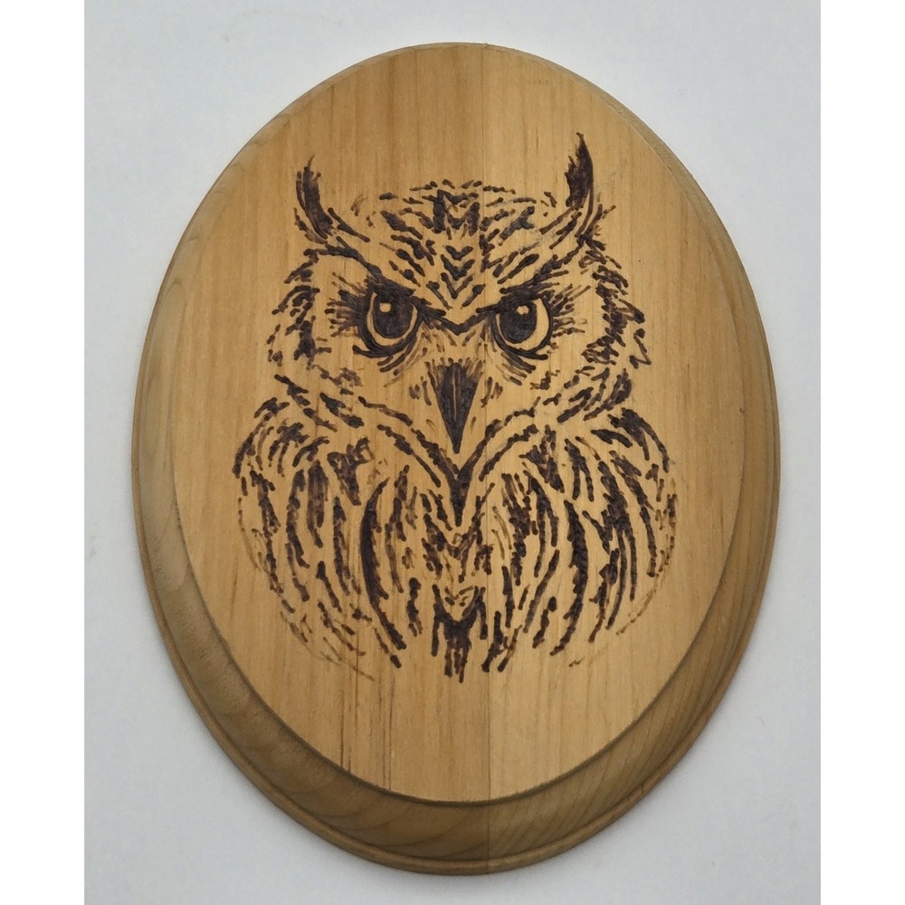 Handmade Wood Burned‎ Horned Owl Oval Plaque Wall Hanging 7x5 Rustic Pyrography